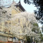 Wuhan University Campus scenery