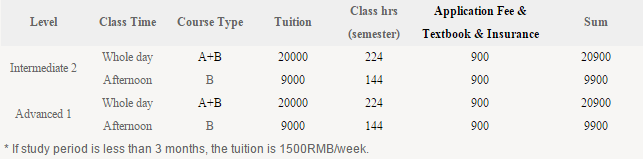 special mandarin training program-fees