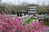 Tianjin University Library