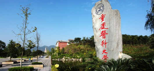 Chongqing Medical University